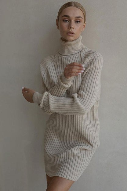 Oversized Turtleneck Ribbed Knit Long Sleeve Sweater Mini Dress