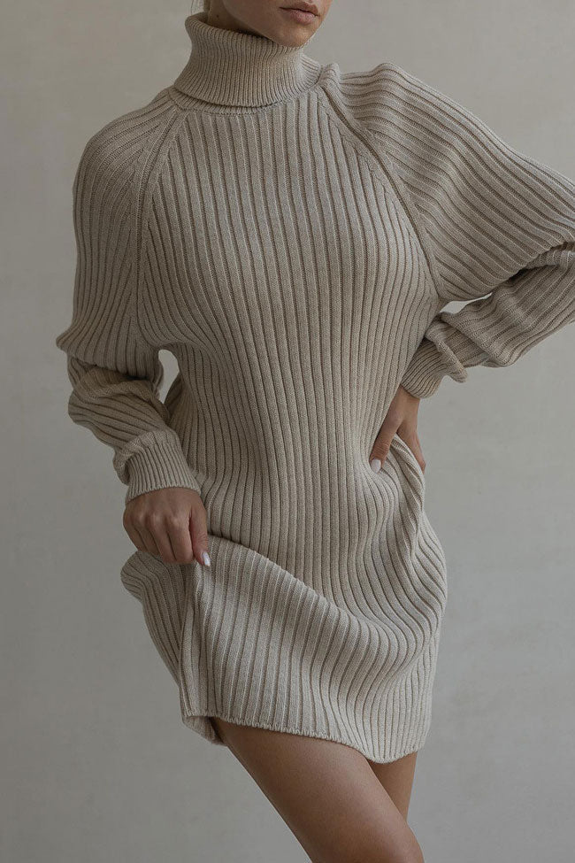 Oversized Turtleneck Ribbed Knit Long Sleeve Sweater Mini Dress
