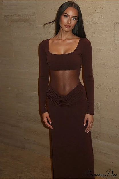 Classy Sheer Mesh Long Sleeve Slim Maxi Dress