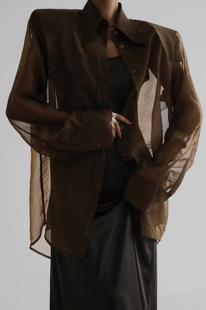 Retro Sheer Loose Long-sleeved Casual Shirt