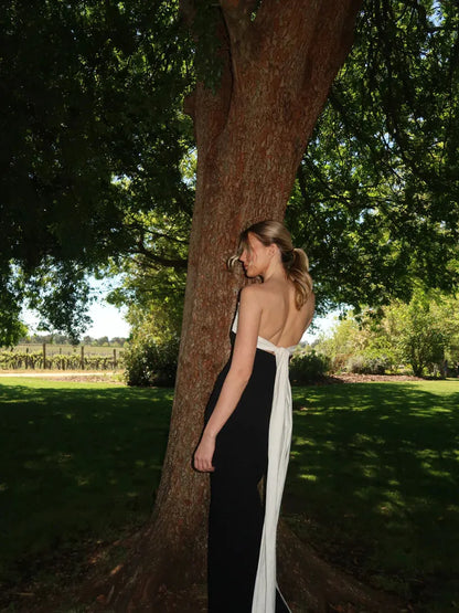 Sweetheart Neck Tube Bow Tie Back Maxi Dress