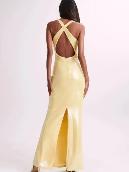 Applique Rose Sequin  Backless Maxi Dress