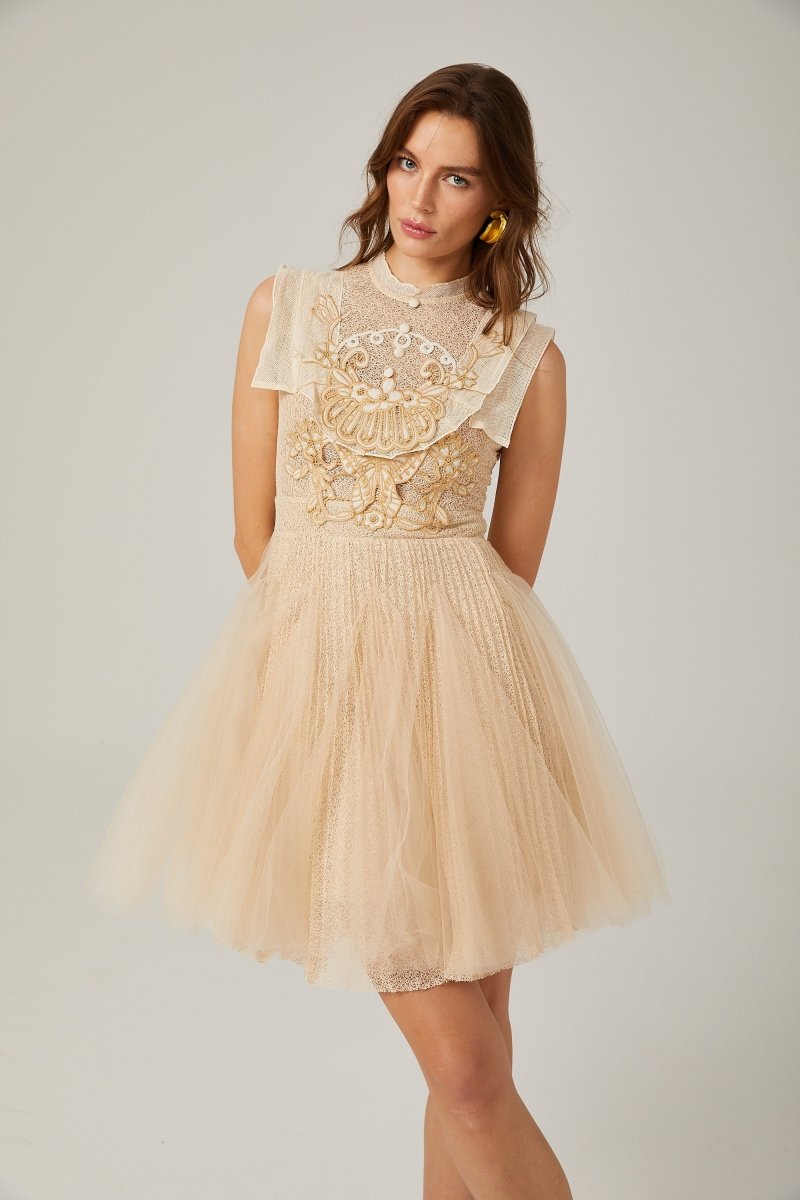 Elizabeth Butterfly Embroidered Tulle Mini Dress