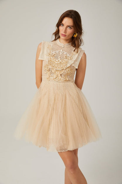 Elizabeth Butterfly Embroidered Tulle Mini Dress