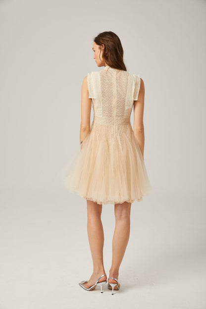 Elizabeth Butterfly Embroidered Tulle Mini Dress