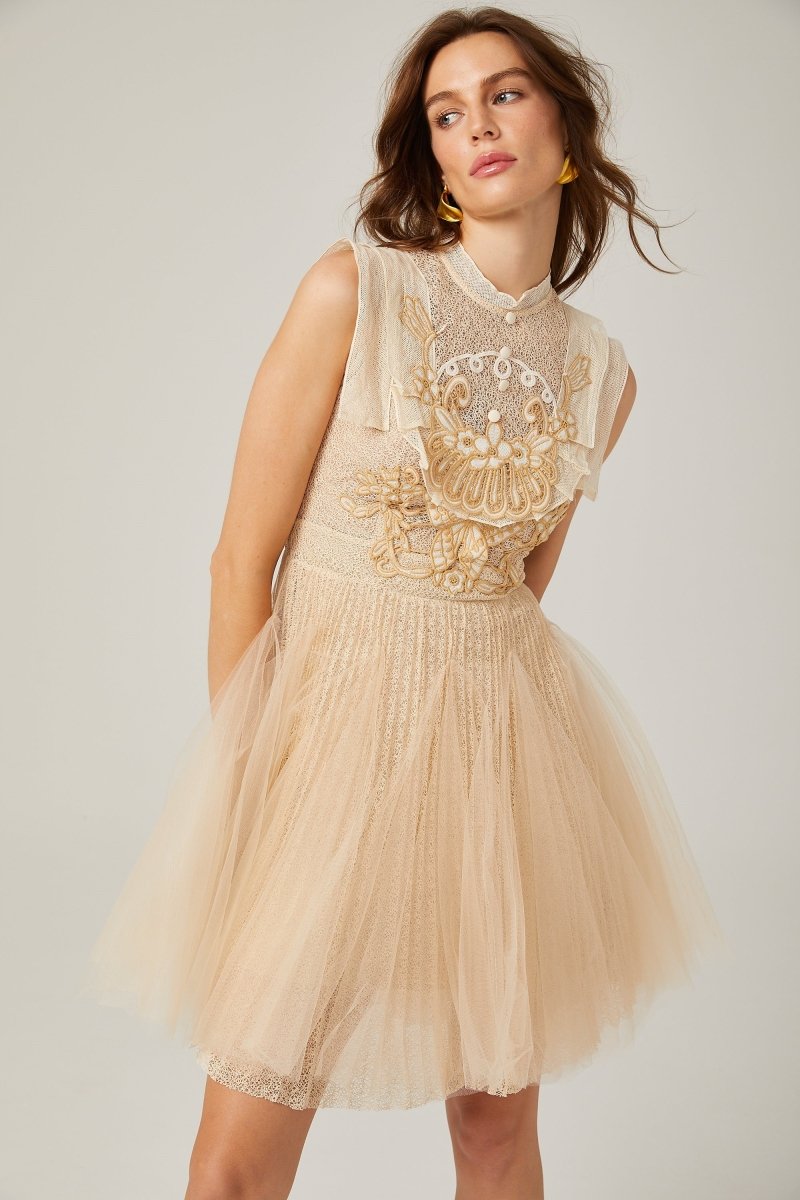 Elizabeth Butterfly Embroidered Tulle Mini Dress