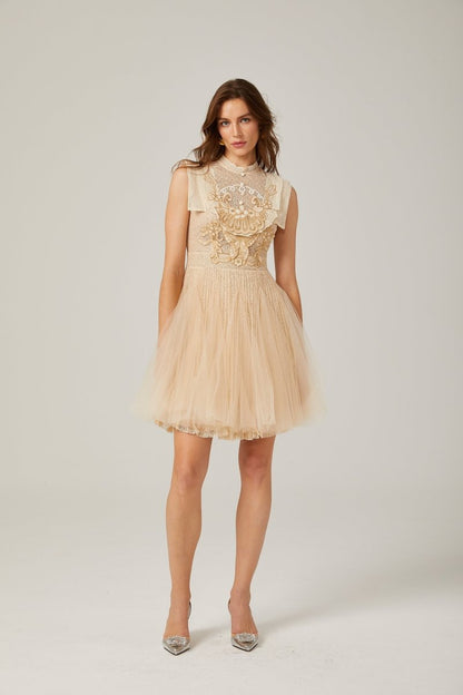 Elizabeth Butterfly Embroidered Tulle Mini Dress