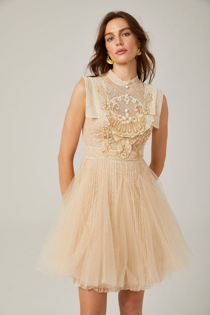 Elizabeth Butterfly Embroidered Tulle Mini Dress