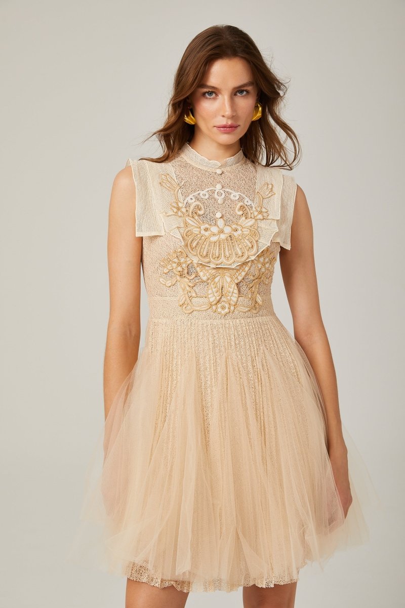 Elizabeth Butterfly Embroidered Tulle Mini Dress