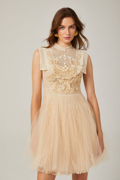 Elizabeth Butterfly Embroidered Tulle Mini Dress