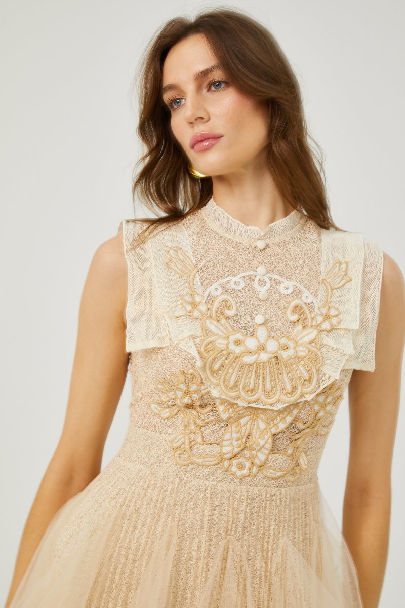 Elizabeth Butterfly Embroidered Tulle Mini Dress