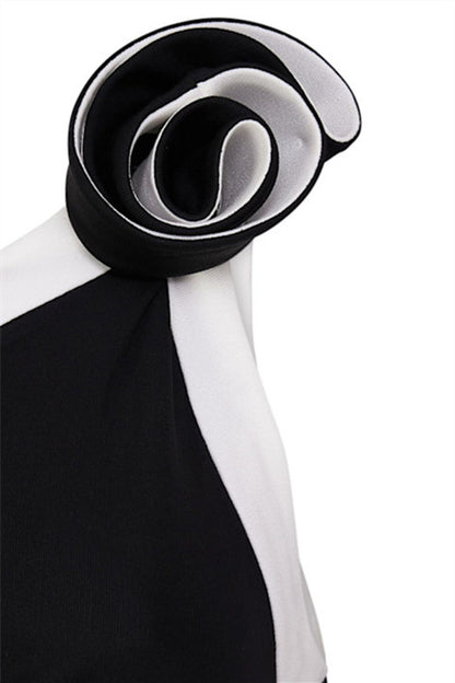 Salome Asymmetric Floral Applique Maxi Dress