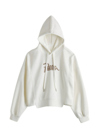 Letter Embroidery Drawstring Oversized Hoodie