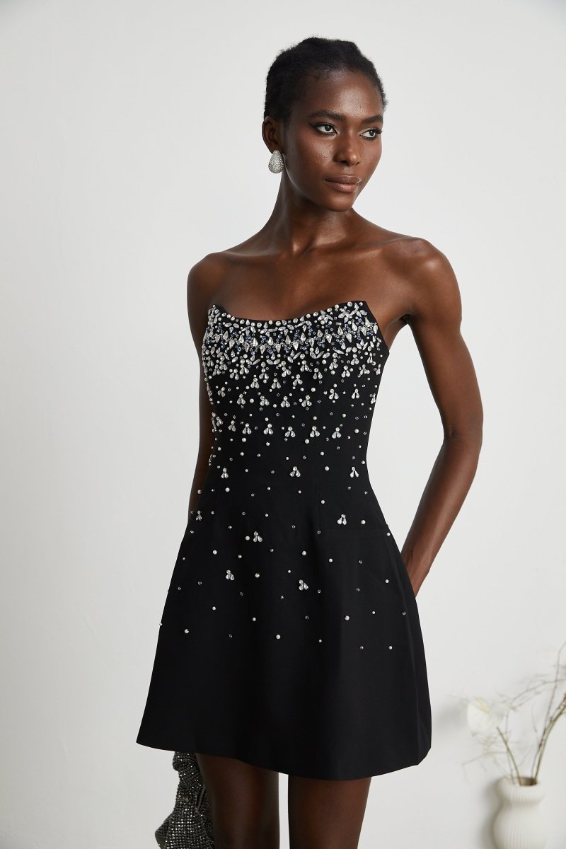 Frances Crystal-embellished Sleeveless Mini Dress