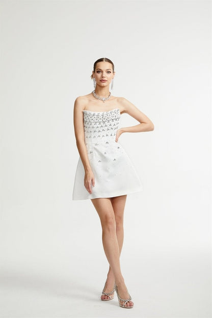 Frances Crystal-embellished Sleeveless Mini Dress