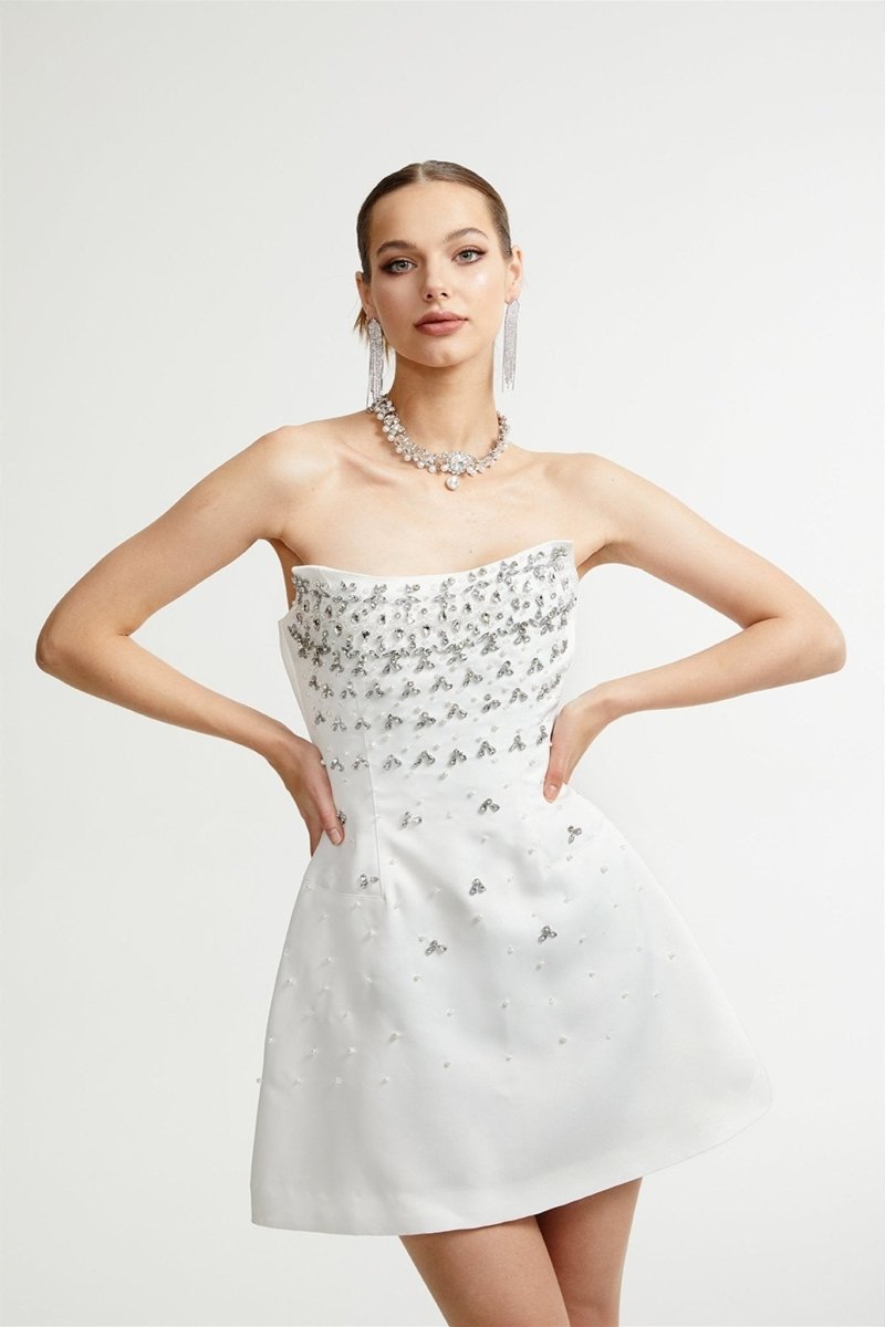 Frances Crystal-embellished Sleeveless Mini Dress