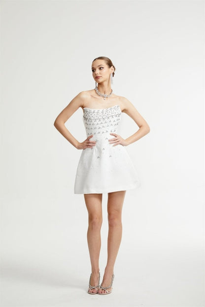 Frances Crystal-embellished Sleeveless Mini Dress
