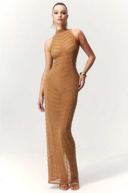 Vera Rhinestone Embellished Sheer Maxi Dress