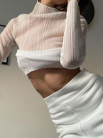 High Neck Semi Sheer Knit Top