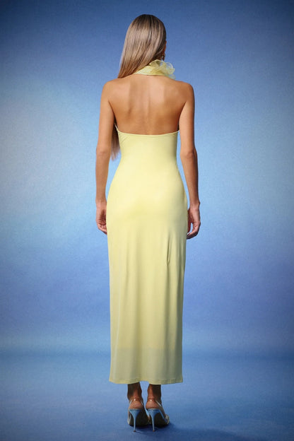 Halter Neck Long Maxi Dress