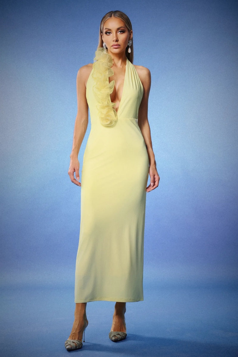 Halter Neck Long Maxi Dress