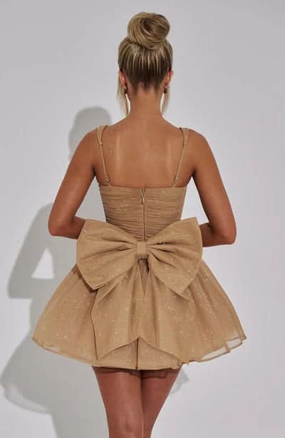 Sequin Corset Sweetheart Neckline Bow Back Fit And Flare Mini Dress