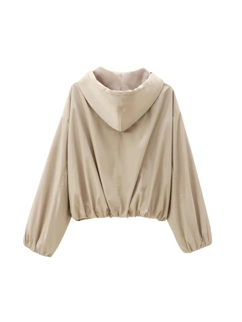 Aris Casual Zip-Up Hooded Jacket
