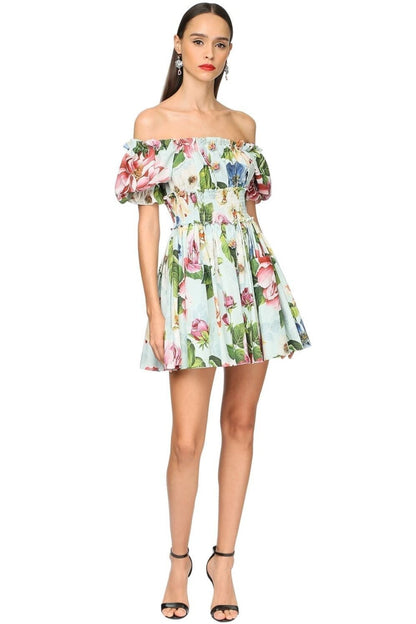 Ivy Printed Shirred Bodice Flare Mini Dress