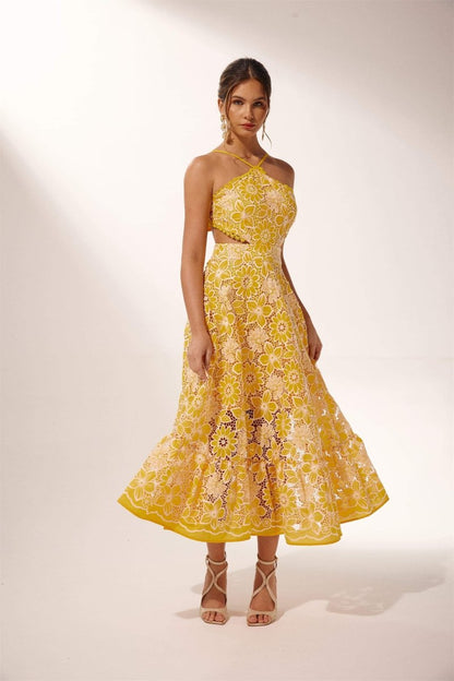 Jessica Embroidered Lace Halterneck Midi Dress