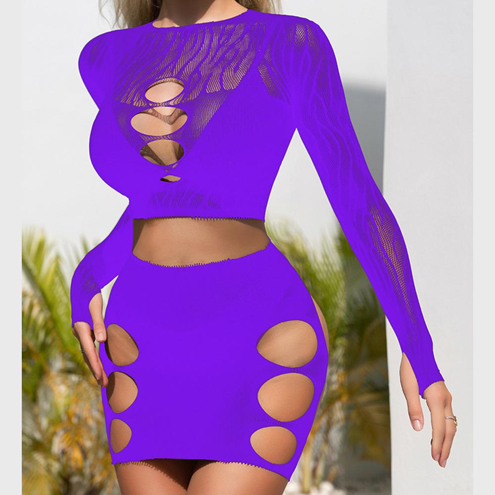 Long sleeve zebra sheer mesh mini skirt set