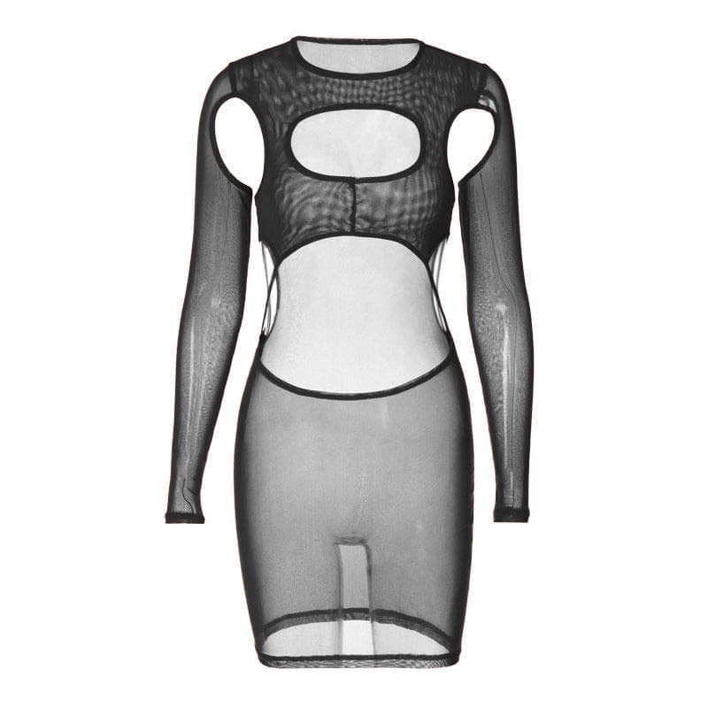 Hollow Out Sheer Mesh High Neck Long Sleeve Cutout Mini Dress