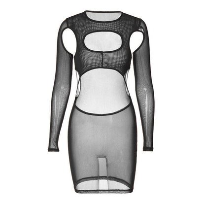 Hollow Out Sheer Mesh High Neck Long Sleeve Cutout Mini Dress