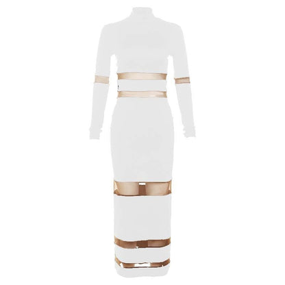 High Neck Mesh Panel Contrast Long Sleeve Bodycon Maxi Dress