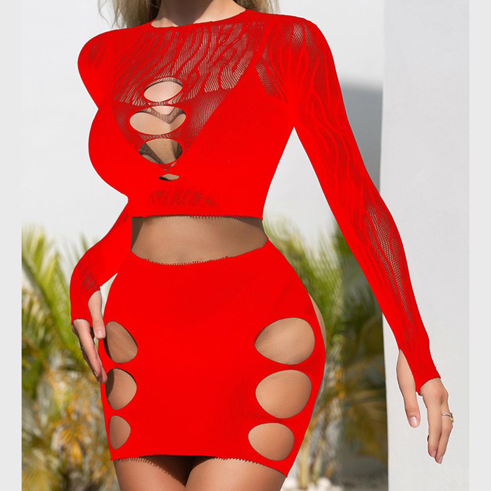 Long sleeve zebra sheer mesh mini skirt set