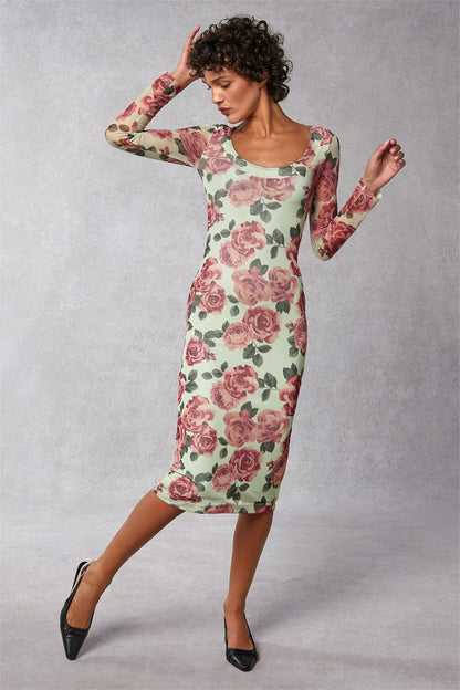 Floral Round Neck Long Sleeve Midi Dress