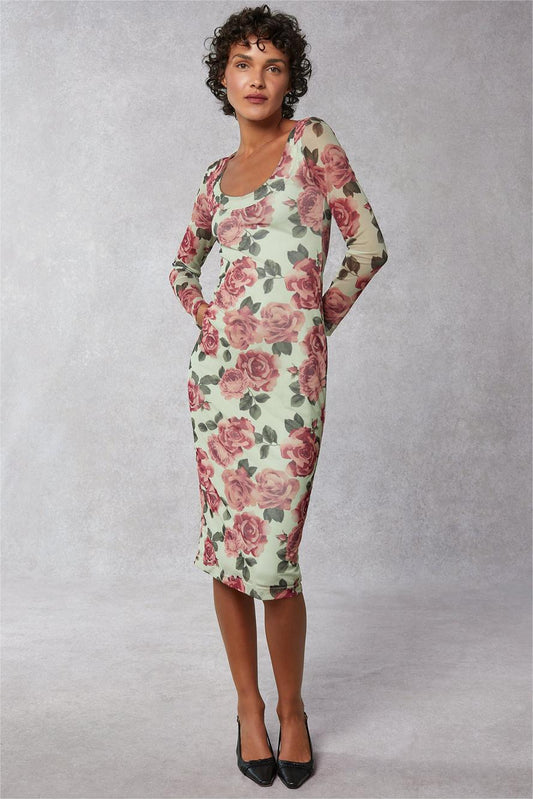 Floral Round Neck Long Sleeve Midi Dress