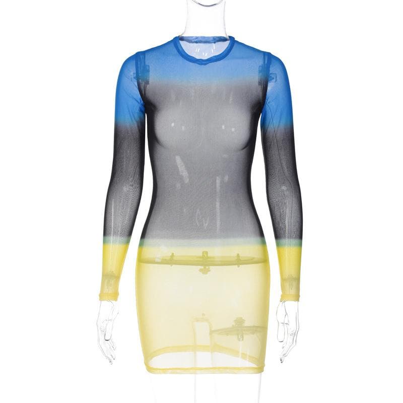 Contrast Sheer Mesh Colorblock Crew Neck Long Sleeve Mini Dress