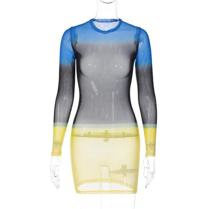 Contrast Sheer Mesh Colorblock Crew Neck Long Sleeve Mini Dress