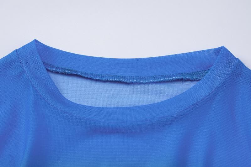 Contrast Sheer Mesh Colorblock Crew Neck Long Sleeve Mini Dress