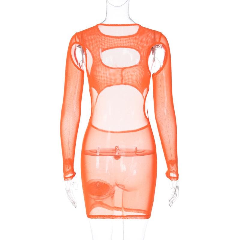 Hollow Out Sheer Mesh High Neck Long Sleeve Cutout Mini Dress