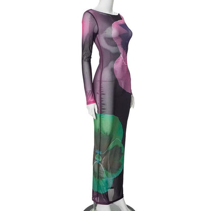 Long sleeve sheer mesh print crewneck maxi dress