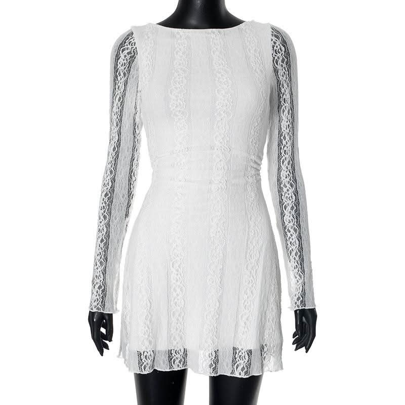Crewneck long sleeve lace mini dress