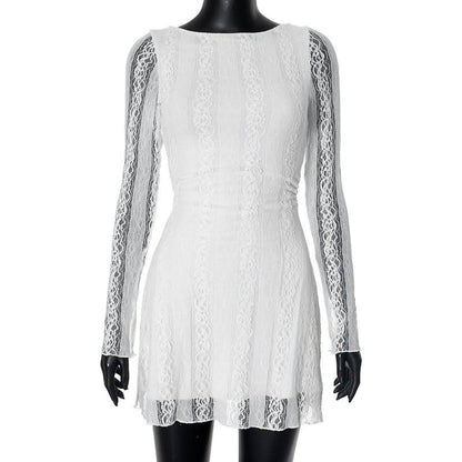 Crewneck long sleeve lace mini dress