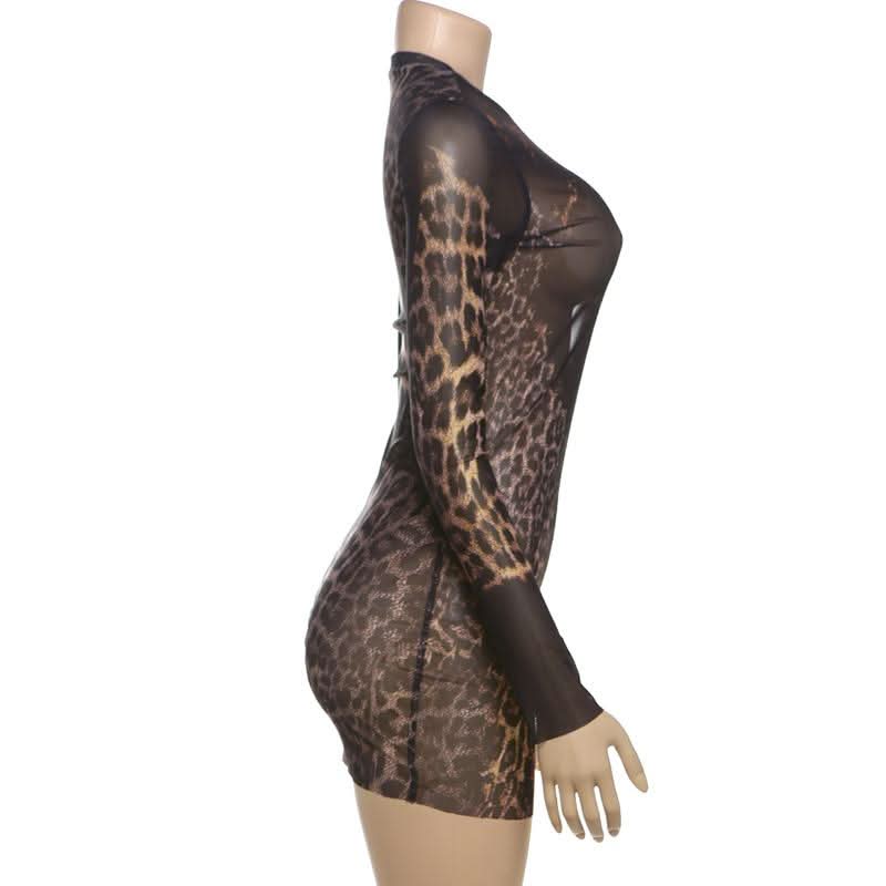 Crewneck long sleeve leopard print mesh mini dress