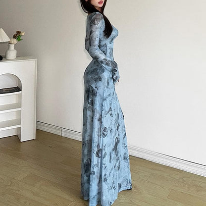Long sleeve sheer mesh v neck print maxi dress