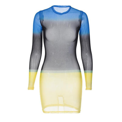 Contrast Sheer Mesh Colorblock Crew Neck Long Sleeve Mini Dress