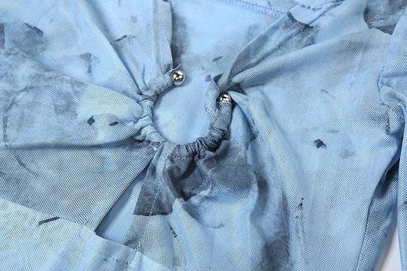 Long sleeve sheer mesh v neck print maxi dress