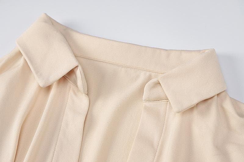 Deep V Neck Collar Tie Waist Long Sleeve Mini Dress