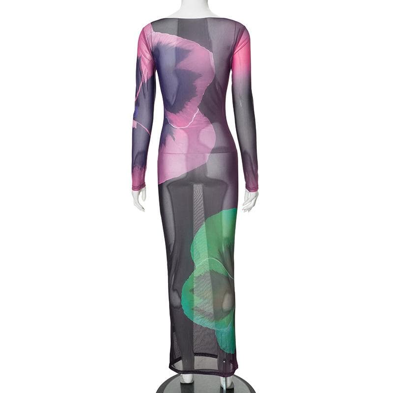 Long sleeve sheer mesh print crewneck maxi dress