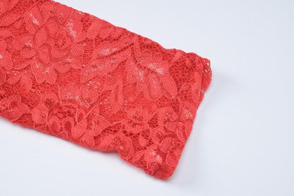 Long sleeve high neck see through lace maxi dress